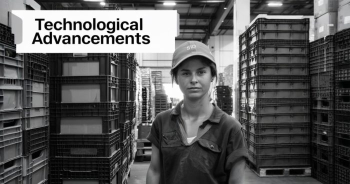 The role of technology in the handling of goods, Grupo Cemesa